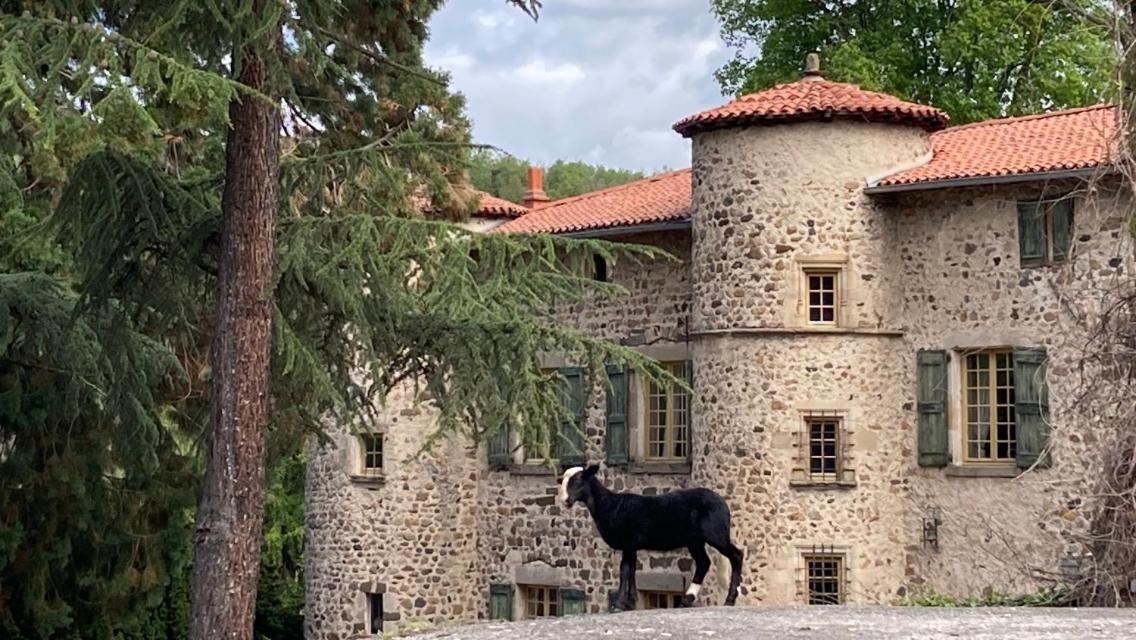 Chateau De Durianne Le Monteil  Екстер'єр фото