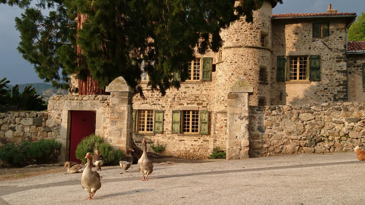 Chateau De Durianne Le Monteil  Екстер'єр фото