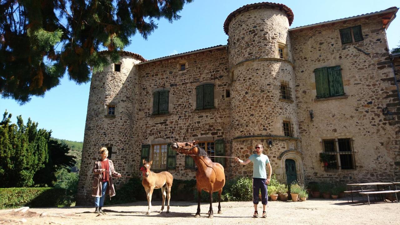 Chateau De Durianne Le Monteil  Екстер'єр фото